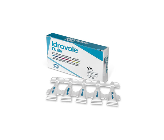 Idrovale daily