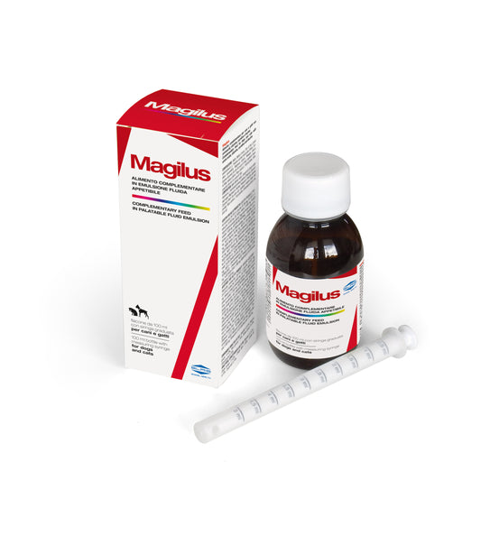 Magilus