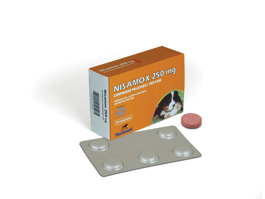 Nisamox 250mg 20cpr