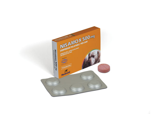Nisamox 500mg 10cpr