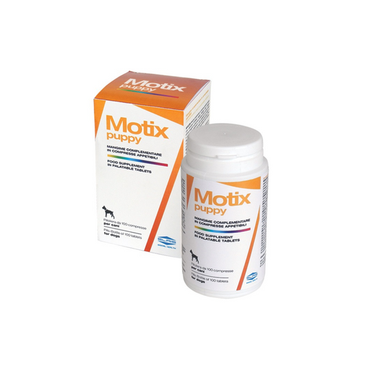 Motix puppy