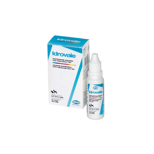 Idrovale